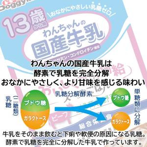 DoggyMan ドギーマンハヤシ 13歳から...の詳細画像5