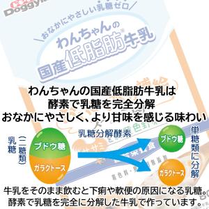 DoggyMan ドギーマンハヤシ わんちゃん...の詳細画像5