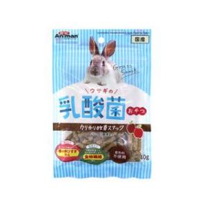 DoggyMan ドギーマンハヤシ ウサギの乳酸...の商品画像