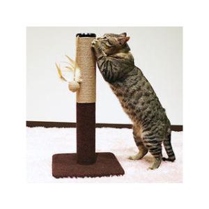 DoggyMan ドギーマンハヤシ モダンルーム 爪みがきポール