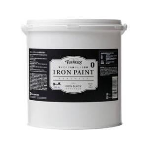 TURNER ターナー色彩 アイアンペイントアイアンブラック3L IR003009