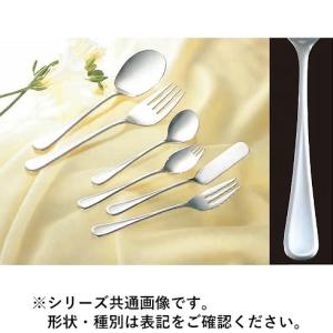 KATARIKI 片力商事 18-8ピアス ラージティースプーン