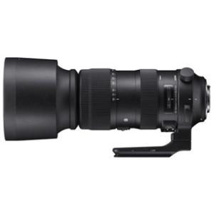 SIGMA シグマ  【納期未定】60-600mm F4.5-6.3 DG OS HSM Sports　キヤノンマウント｜murauchi