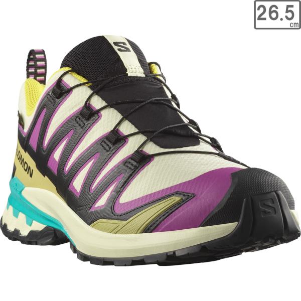 SALOMON サロモン 【メンズ】XA PRO 3D V9 GTX 【トランスペアレントイエロー/...