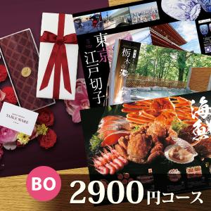 カタログギフト「総合NO.1シリーズ」2900円...の商品画像