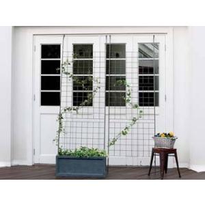 住まいスタイル アイアン製グリーンカーテン グラフ 2枚組 IFGC014-2P-SLV ハンマート...
