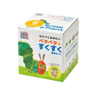 SEISHIN 聖新陶芸  HP-0104 ハラペコアオムシ 栽培セットミニヒマワリ