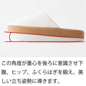 alphax アルファックス 体幹を整えるスリ...の詳細画像3