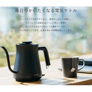 BALMUDA バルミューダ バルミューダ ザ...の詳細画像5