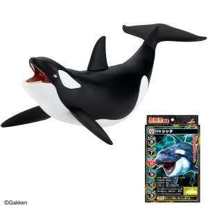 最強王図鑑 最強王バトルソフビ 応龍 : plusa - 通販 - Yahoo!ショッピング