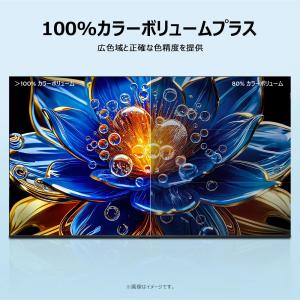 TCL 【メーカー再調整品】32FS5K 32...の詳細画像4