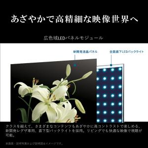 TVS REGZA 43M550M 43V型 ...の詳細画像3