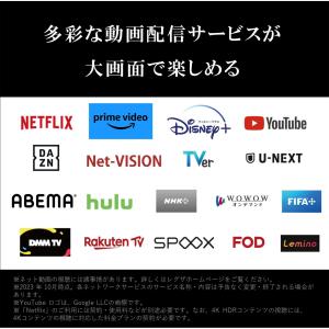 TVS REGZA 43M550M 43V型 ...の詳細画像5