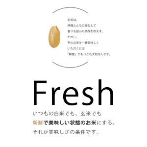 YAMAMOTO 山本電気 家庭用精米機 匠味...の詳細画像3