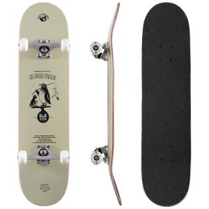 PREMIUM SKATEBOARDS AKINORI JAHANA 7.75 プレミアムスケートボード