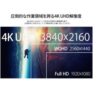 JAPANNEXT ジャパンネクスト IPSパ...の詳細画像4