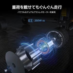 ISSYZONE JAPAN BougeRV ...の詳細画像2