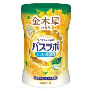 HAKUGEN 白元アース HERSバスラボボト...の商品画像