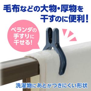 DAIYA ダイヤコーポレーション ベランダピ...の詳細画像2