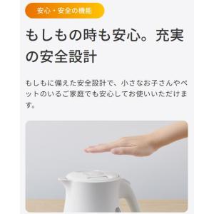 TIGER タイガー魔法瓶 PCV-A120-...の詳細画像3
