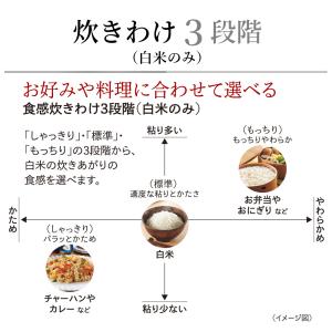 TIGER タイガー魔法瓶 JRI-T100-...の詳細画像5