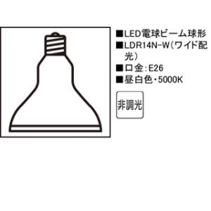 ODELIC（オーデリック） NO295AL LDA7L-G/R90 電球色・2700K (口金