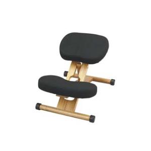 MIYATAKE 宮武製作所 姿勢を正しく保つ椅子 プロポーションチェア CH-88WBK ブラック