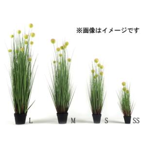 HAGIHARA ハギハラ  人工観葉植物　ボールグラス　S (約91cm) 159013760｜murauchi