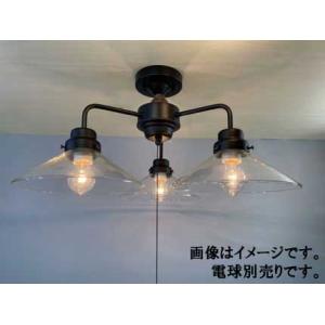 後藤照明 GLF-3546BKX　透明P1・3灯用CL型BK（電球なし）