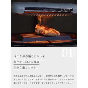 ALADDIN アラジン AEG-G13A(W...の詳細画像3