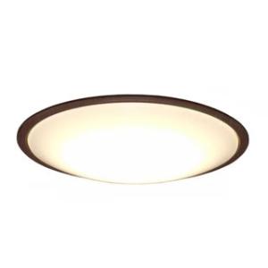 IRIS OHYAMA/アイリスオーヤマ 【在庫限り】CL14DL-5.11WFV-M