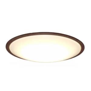 IRIS OHYAMA/アイリスオーヤマ 【在庫限り】CL14DL-5.11WFV-M