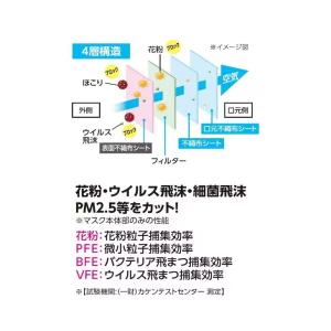 IRIS OHYAMA アイリスオーヤマ 不織...の詳細画像2