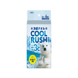 IRIS OHYAMA アイリスオーヤマ 冷感タオル クールラッシュ ポケットタイプ 8枚×6個入