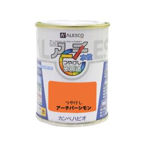 Kanpe Hapio カンペハピオ  アレスアーチ アーチパーシモン 0.1L｜murauchi