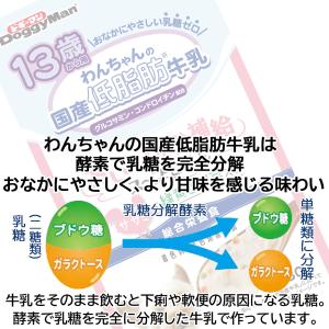 DoggyMan ドギーマンハヤシ 13歳から...の詳細画像5