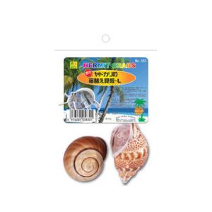 SANKO 三晃商会 オカヤドカリの宿替え貝殻 L