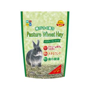 ベッツセレクション ウサギ用 ライフケア ( 90g )/ : 爽快ドラッグ