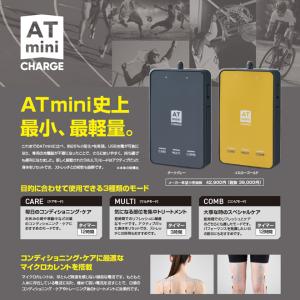 伊藤超短波 ATmini CHARGE 【ダー...の詳細画像1