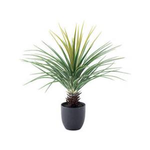 東谷 ROOM ESSENCE フェイクグリーン ミニパイナップル GRN-12