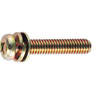 TRUSCO トラスコ中山 ナベ頭組込ネジ クロメートP-4 サイズM6X10 50本入 B51-0...