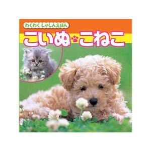 COSMOS COSMOS コスモス わくわくしゃしんえほん こいぬ・こねこ CSS62043