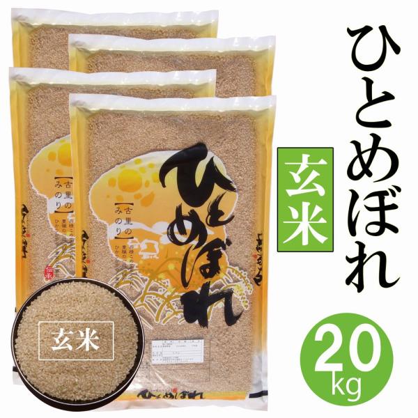 ひとめぼれ 20kg【令和5年産・玄米・5kg×4】〔むろ米穀〕