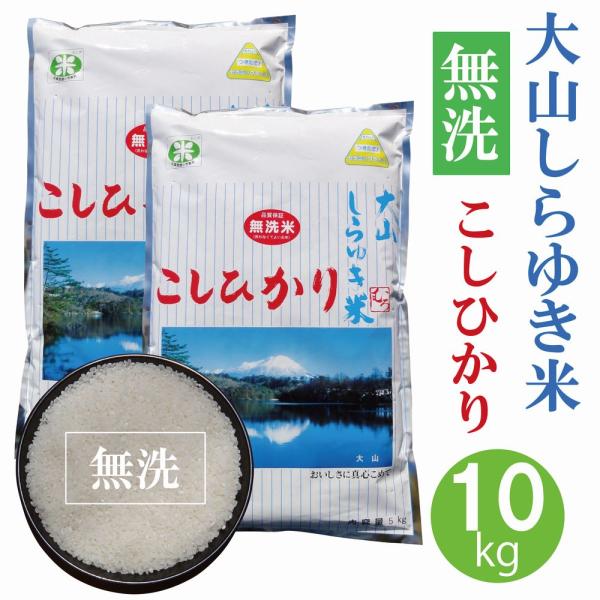 大山しらゆき米 10kg 【令和5年産・無洗米・こしひかり・5kg×2】〔むろ米穀〕