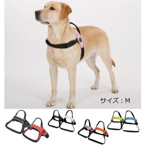 犬 ハーネス 中型犬・大型犬用　トレ・ポンティ　Primo（プリモ） Mサイズ
