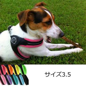 犬 ハーネス 小型犬用　トレ・ポンティ　Fibbia Soft Mesh（フィッビア ソフトメッシュ） 3.5サイズ｜murol