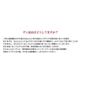 ダニホテル 12枚入 ダニ取りマット ふとん用...の詳細画像2
