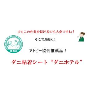 ダニホテル 12枚入 ダニ取りマット ふとん用...の詳細画像3