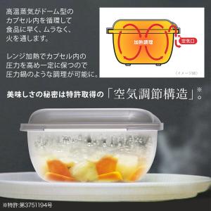 イワタニ グルラボ マルチセット 7点セット ...の詳細画像5