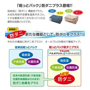 TEIJIN 乾っとパック 防ダニプラス 小サ...の詳細画像1